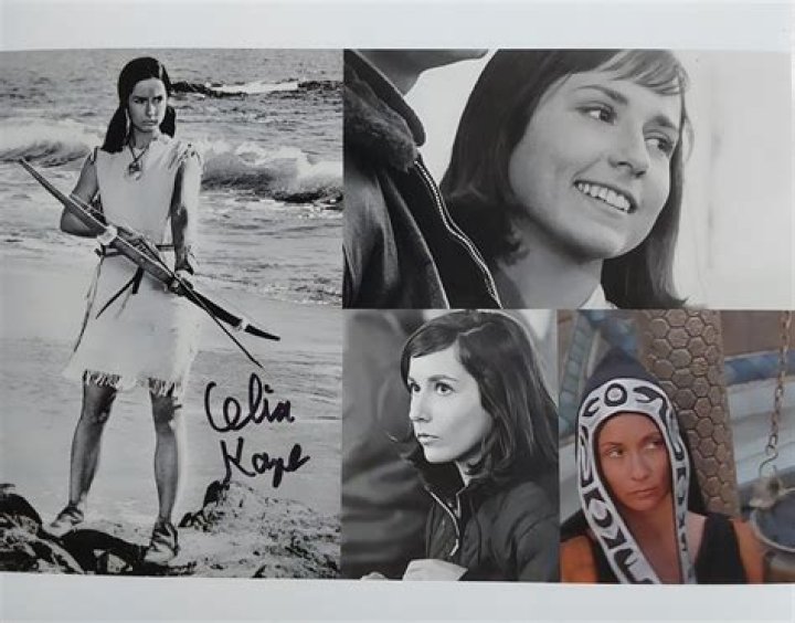 Celia Kaye Age, Birthday, Wikipedia, Who, Nationality, Biography
