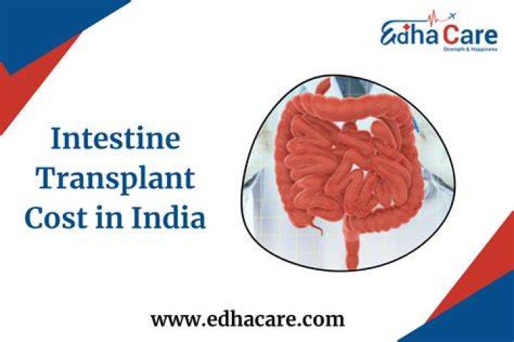 
Intestine Transplant Baby: Transplant In 13 Months Old Baby Emma, Who Are Her Parents? 