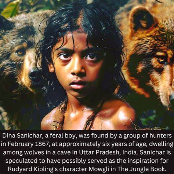 Is Dina Sanichar Dead or Alive? Feral Child and Williams Syndrome Of The Real Life Mowgli