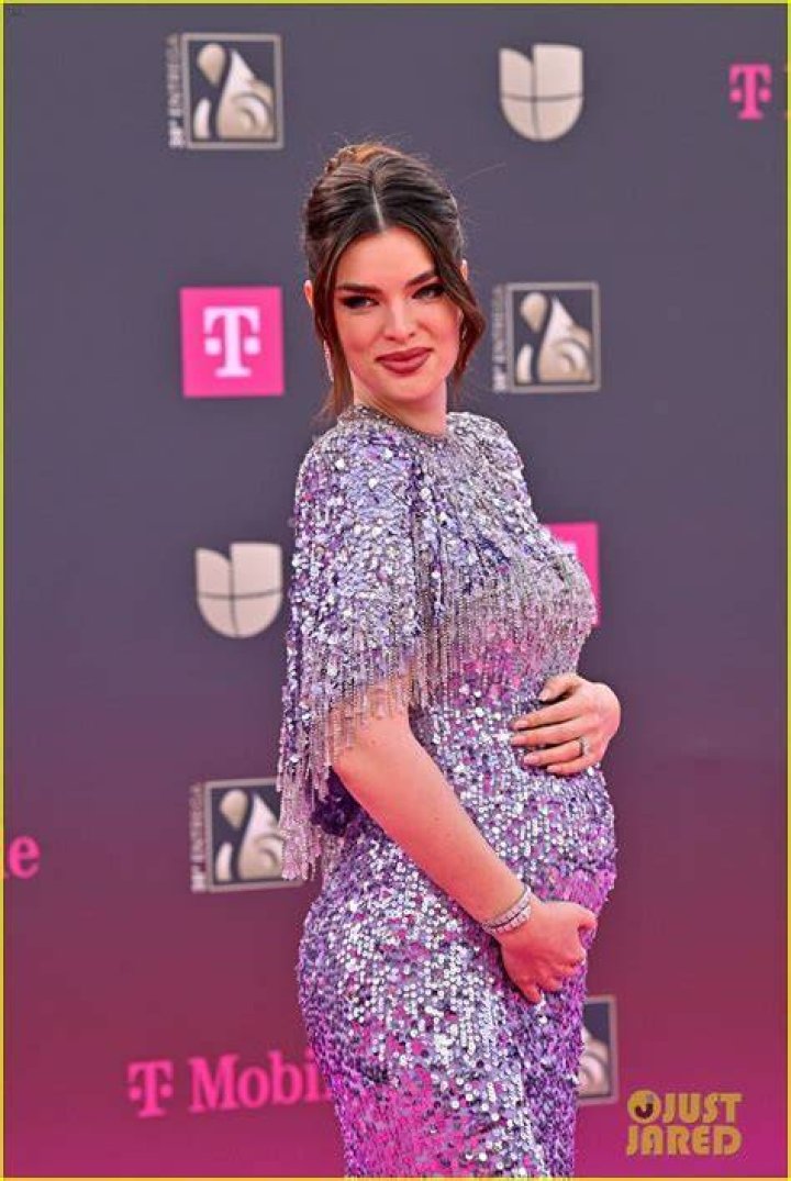 
Is Sky Ferreira Pregnant | Baby And Health Update 