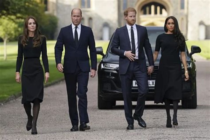 
Prince William and Prince Harry Unite in Special Message for Charity Close to Their Hearts 