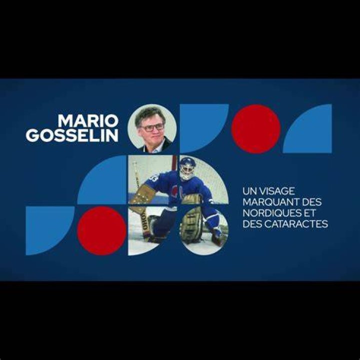 
Quebec SAQ Punching and Assault Video – Who Is Mario Gosselin? 