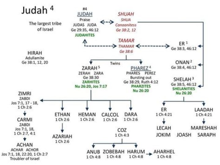 
Rolf Harris Religion: Was He Christian or Jewish? Family Tree 