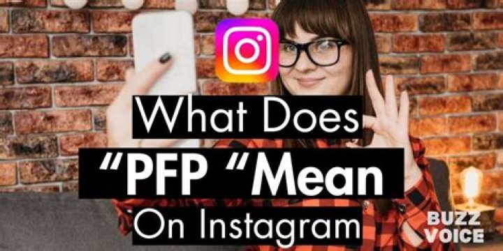  What Does PFP Mean On Tik Tok PFP Meaning In Text Explained