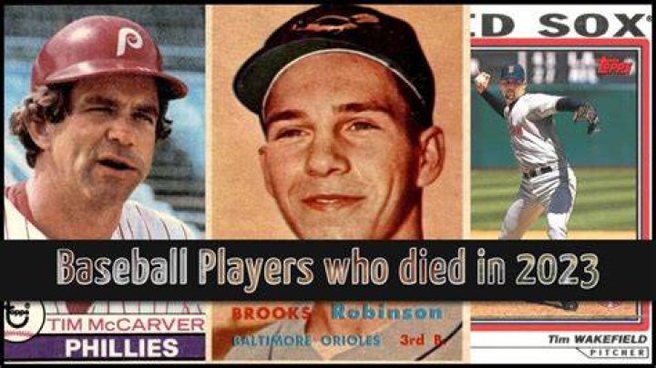 
What Happened To Seth Johnson? Former Baseball Player Passed Away 