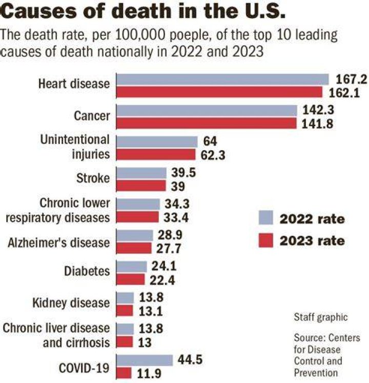 
What was Danny Schechter Cause of Death? 
