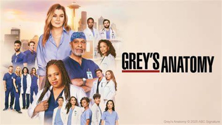 When Will Season 17 of ‘Grey’s Anatomy’ be on Netflix?