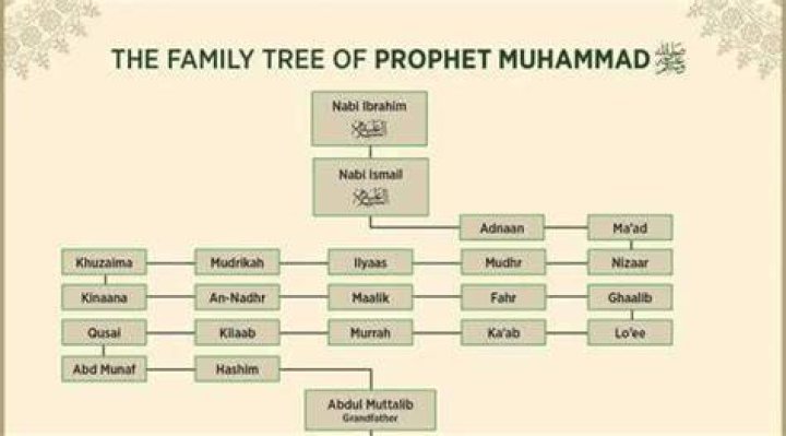 
Who Are Muhammad And Kareem Abdullah? Ameer Abdullah Brothers, Family Tree And Net Worth 