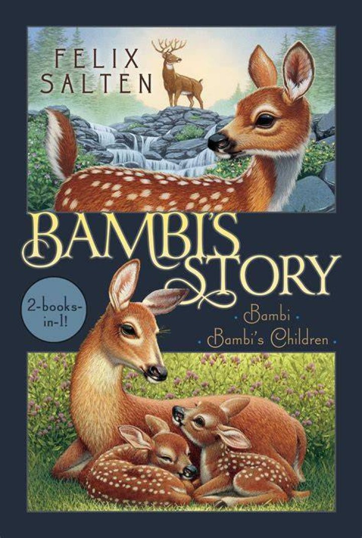 Who Is Bambi Haggins? Author Health Condition And Update, What Happened To Her Eyes?