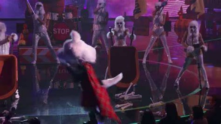 
Who Is Mcterrier On Masked Singer? Face Revealed After The Costume Malfunction On Stage 